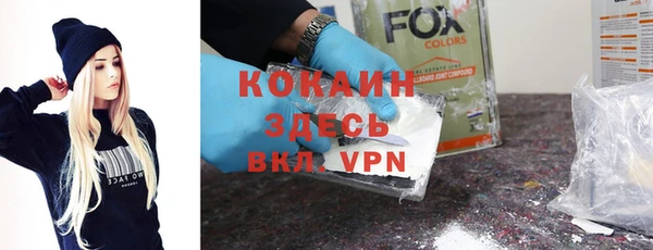 гидра Карпинск