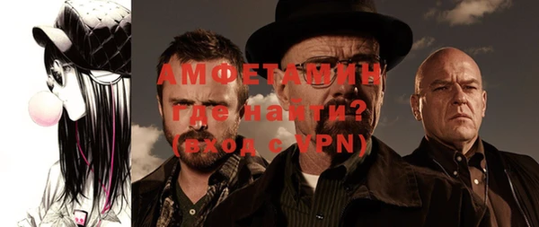 гидра Каменка