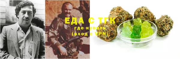 гидра Карпинск