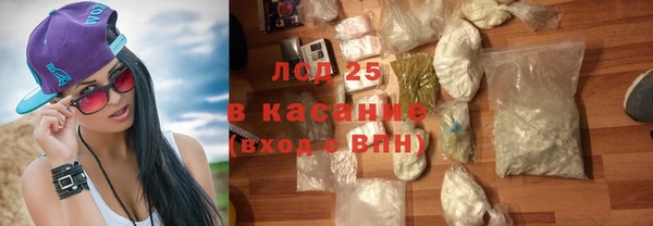 гидра Карпинск