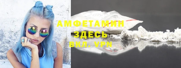гидра Карпинск