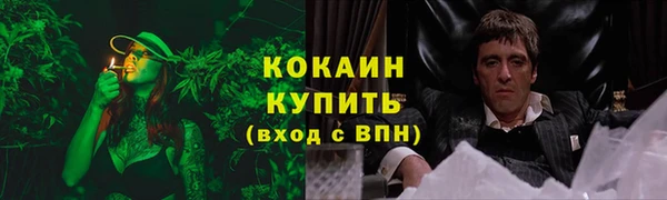 гидра Карпинск