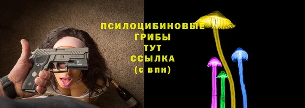 гидра Карпинск
