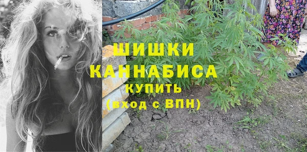 гидра Карпинск