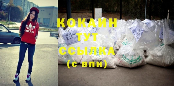 гидра Карпинск
