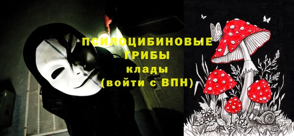 гидра Карпинск