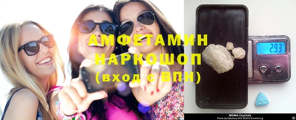 гидра Карпинск