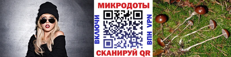 Псилоцибиновые грибы мухоморы  Купить где  Лермонтов 