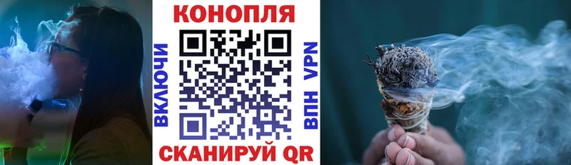 Купить закладки  Лермонтов  Канабис Amnesia 
